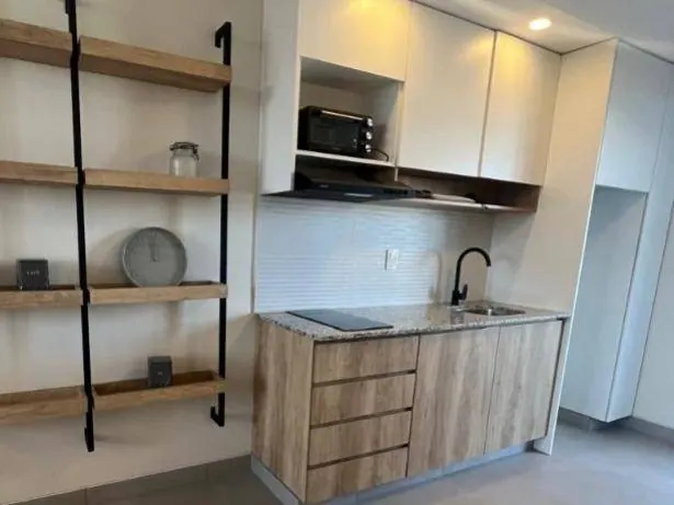 Departamento amoblado de 1 dormitorio en venta en la Zona Norte: foto 18 de 20