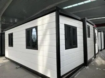 Casas expandibles de 2 o 3 dormitorios en venta en la Zona Norte: foto 5 de 10
