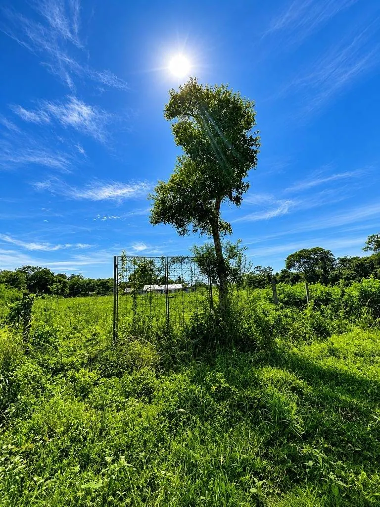 Terreno o quinta en venta en Montero Hoyos, Zona Este: foto 1 de 13