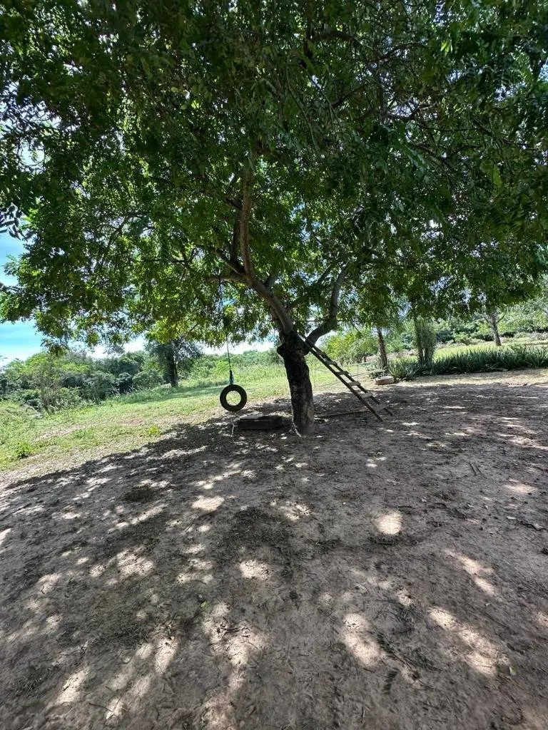Quinta o terreno en venta en la Zona Este, 1 hectárea: foto 4 de 19