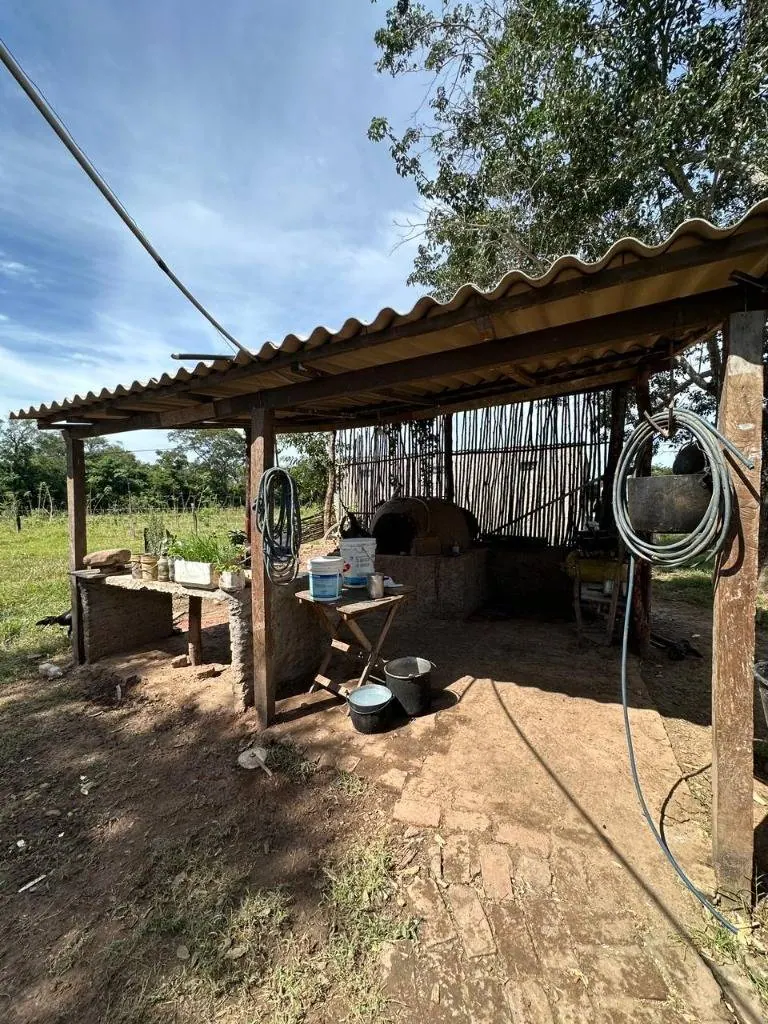 Quinta o terreno en venta en la Zona Este, 1 hectárea: foto 9 de 19