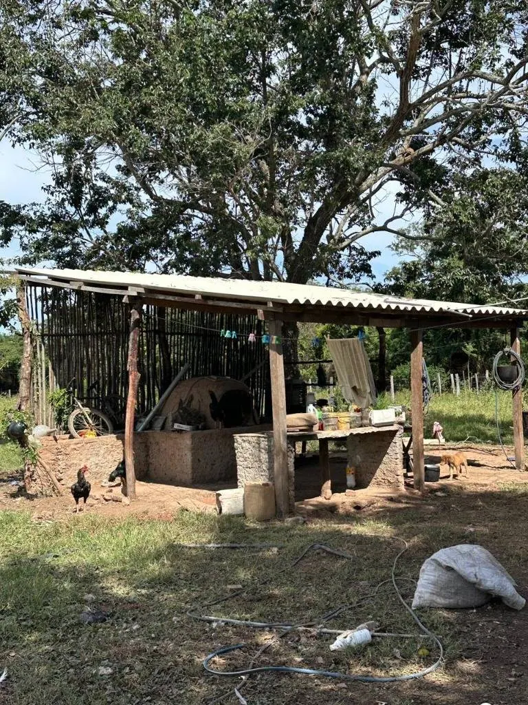 Quinta o terreno en venta en la Zona Este, 1 hectárea: foto 12 de 19