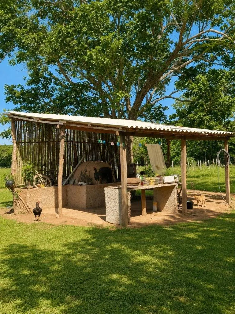 Quinta o terreno en venta en la Zona Este, 1 hectárea: foto 13 de 19