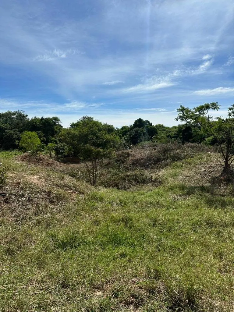 Quinta o terreno en venta en la Zona Este, 1 hectárea: foto 14 de 19