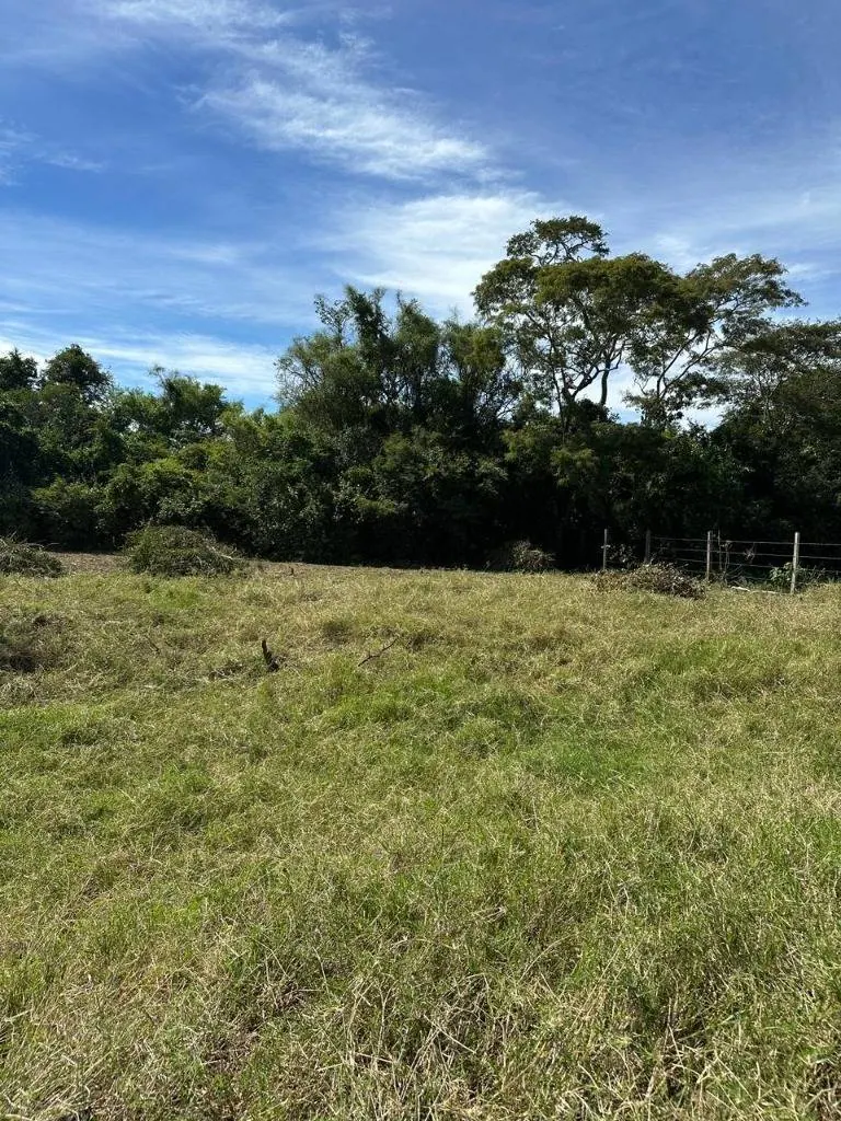 Quinta o terreno en venta en la Zona Este, 1 hectárea: foto 15 de 19