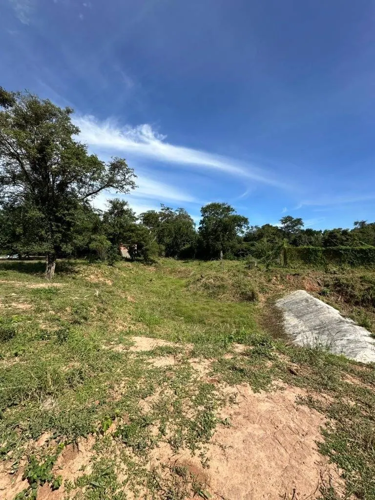 Quinta o terreno en venta en la Zona Este, 1 hectárea: foto 16 de 19