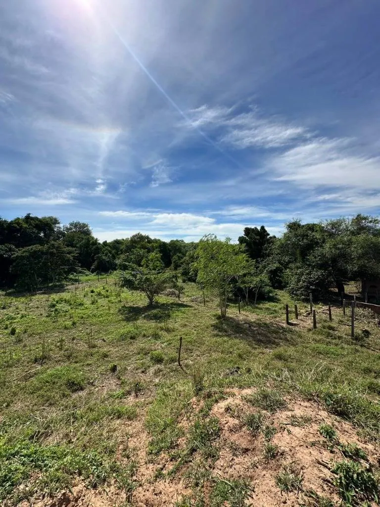 Quinta o terreno en venta en la Zona Este, 1 hectárea: foto 17 de 19