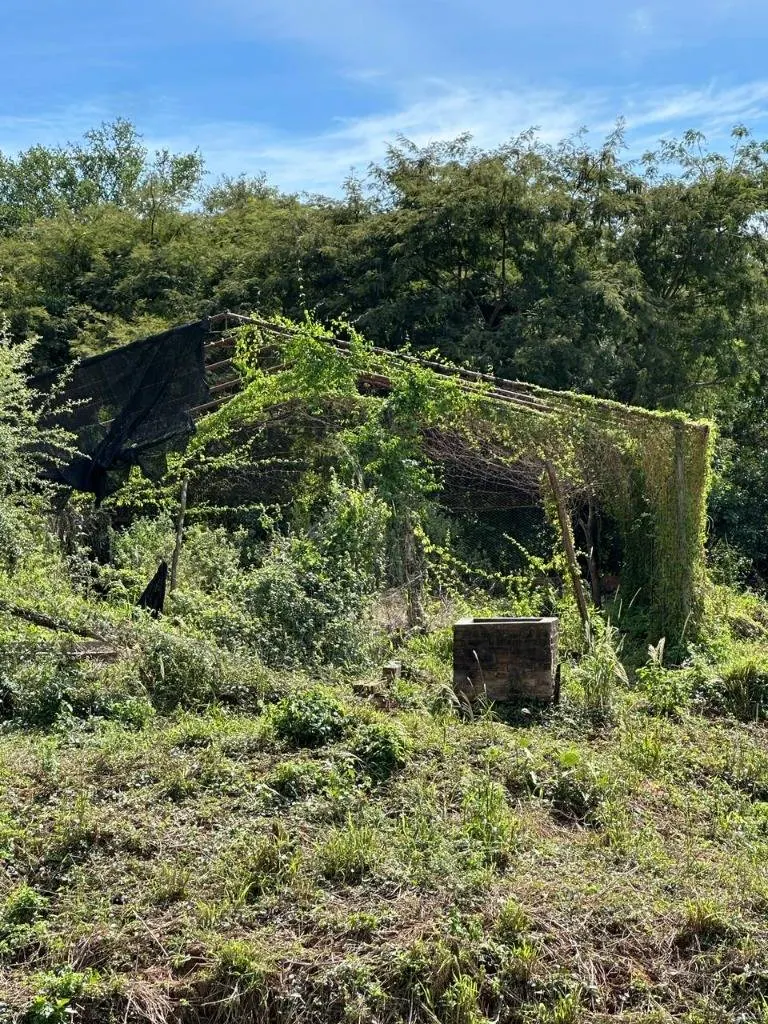 Quinta o terreno en venta en la Zona Este, 1 hectárea: foto 18 de 19