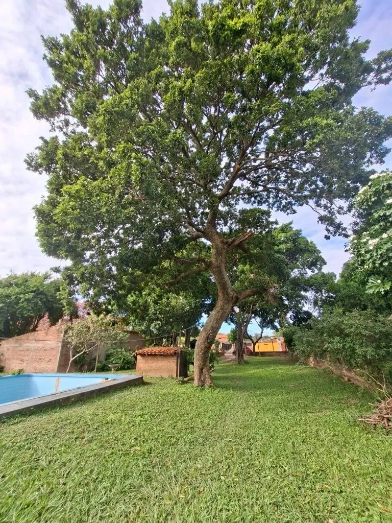 Quinta en venta en Cotoca con 3.049,93 m² de terreno: foto 14 de 18