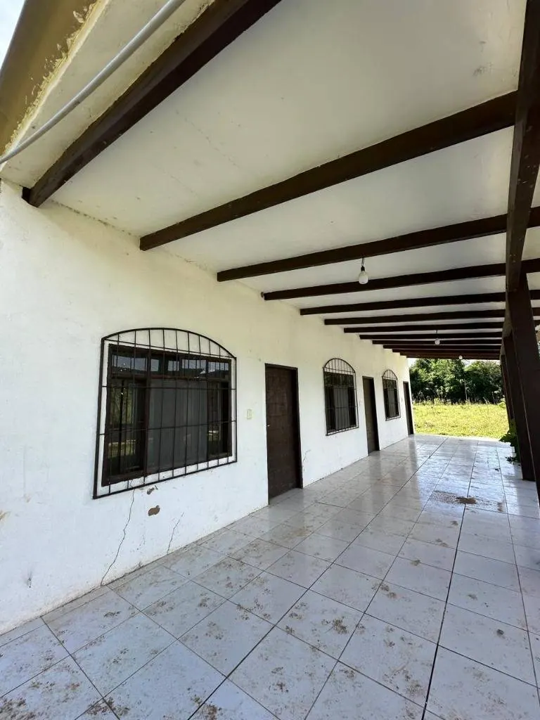 Terreno o quinta de 1 hectárea en venta en la Zona Este: foto 1 de 8