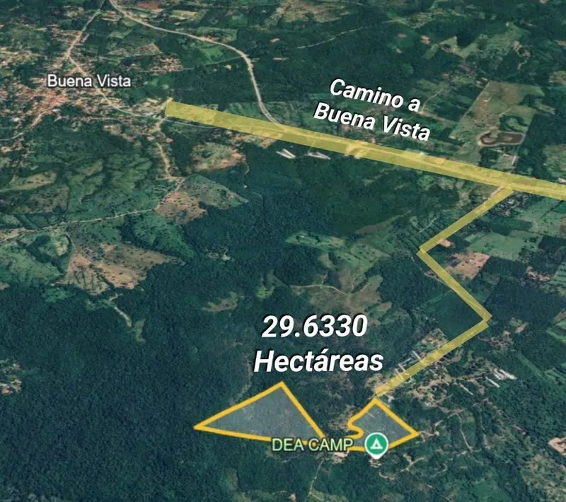 29.6 ha cattle property for sale in Buena Vista: foto 2 de 9