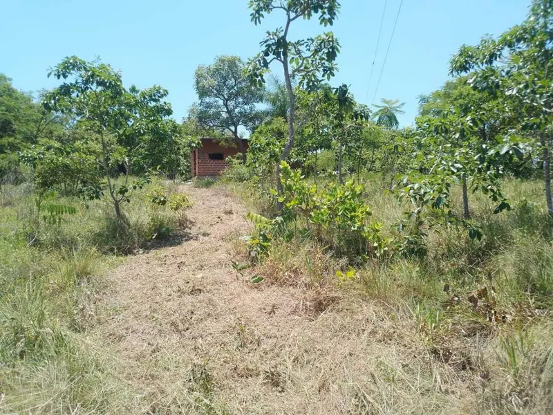 29.6 ha cattle property for sale in Buena Vista