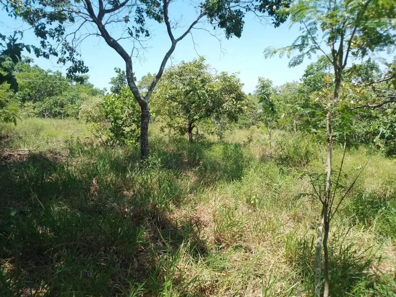 29.6 ha cattle property for sale in Buena Vista: foto 4 de 9