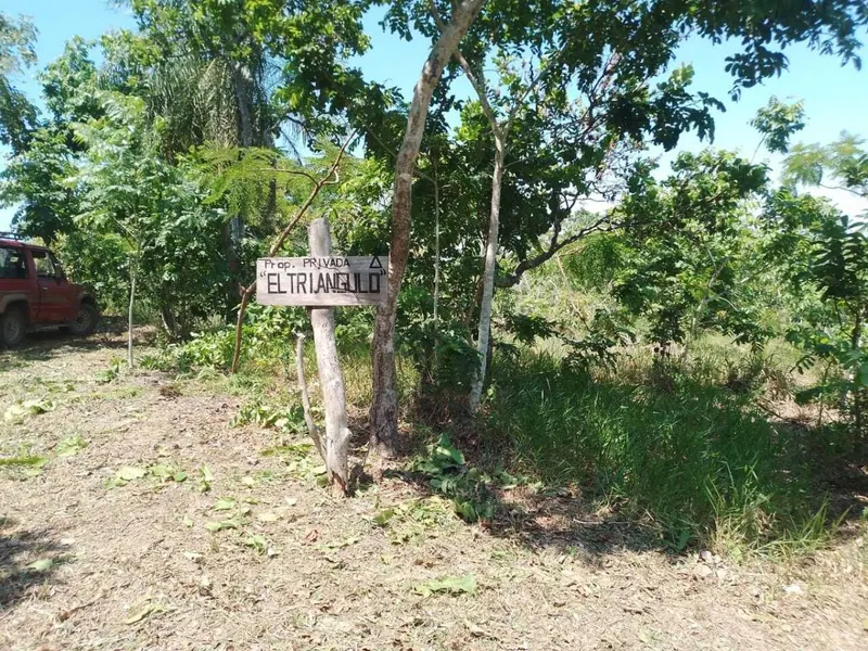 29.6 ha cattle property for sale in Buena Vista: foto 6 de 9