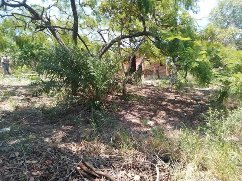 29.6 ha cattle property for sale in Buena Vista: foto 7 de 9