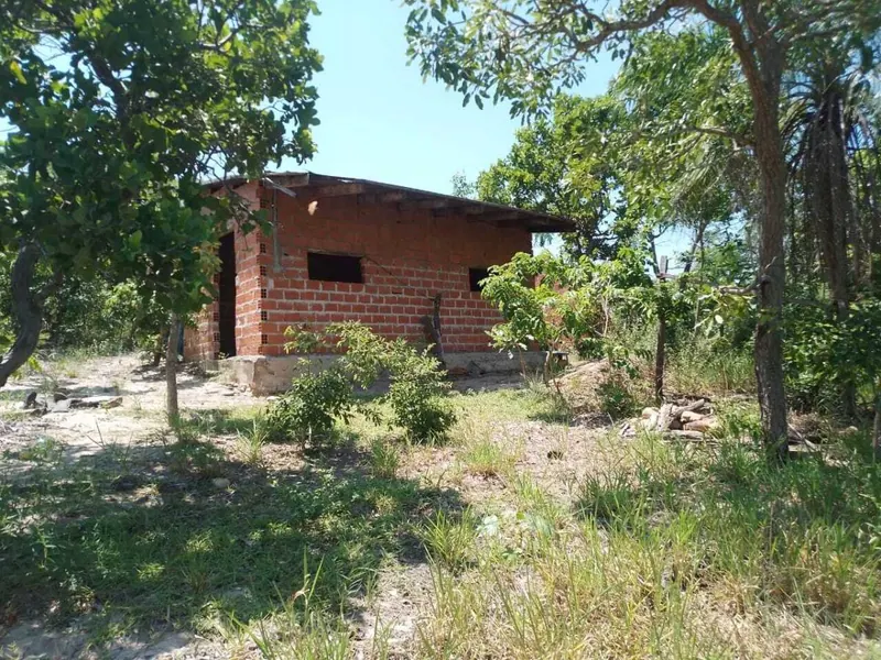 29.6 ha cattle property for sale in Buena Vista: foto 8 de 9