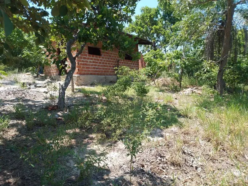 29.6 ha cattle property for sale in Buena Vista: foto 9 de 9