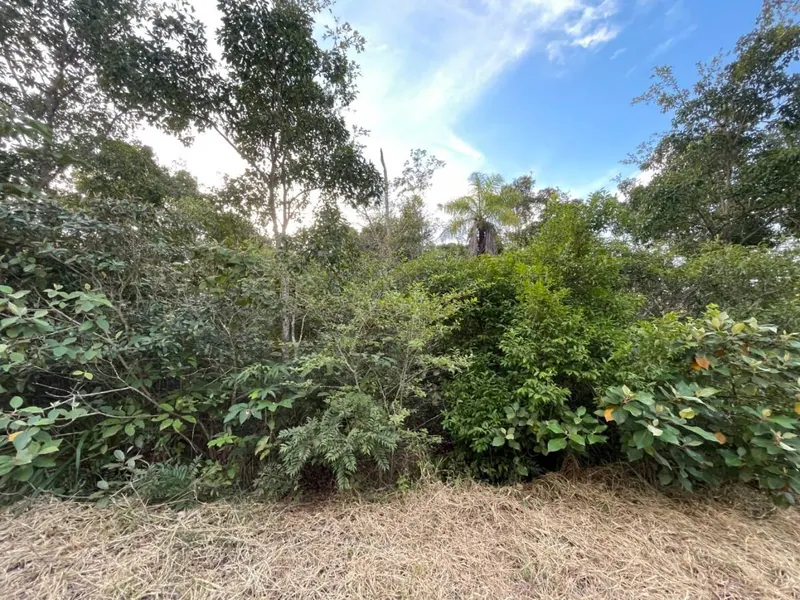 1,000 m² lot for sale in Urubó, Ciudad del Urubó: foto 2 de 3