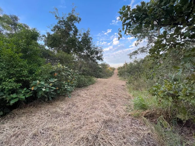 1,000 m² lot for sale in Urubó, Ciudad del Urubó: foto 3 de 3