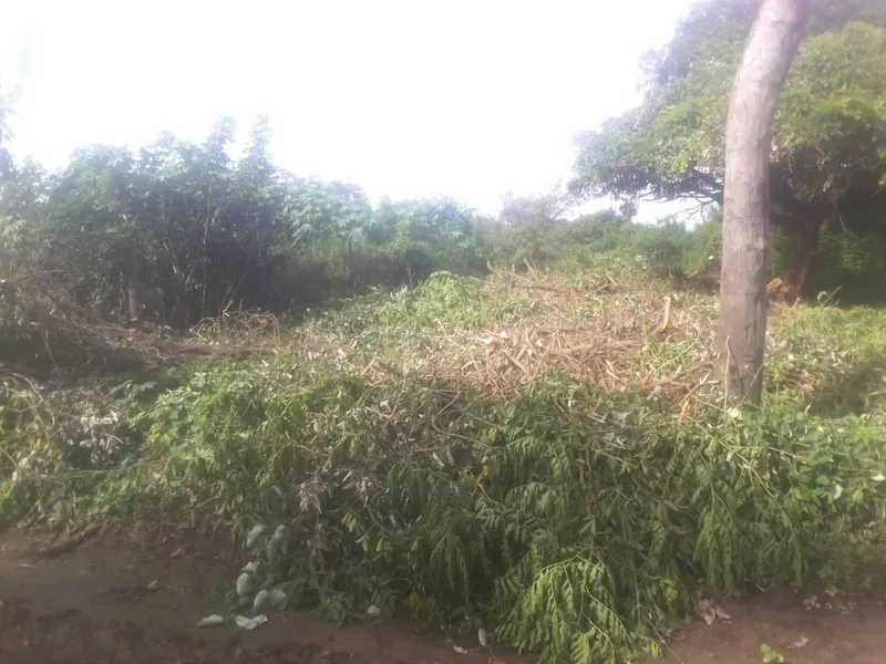 Terreno de 300 m² en venta en Warnes, urbanización Bella Vista: foto 1 de 1