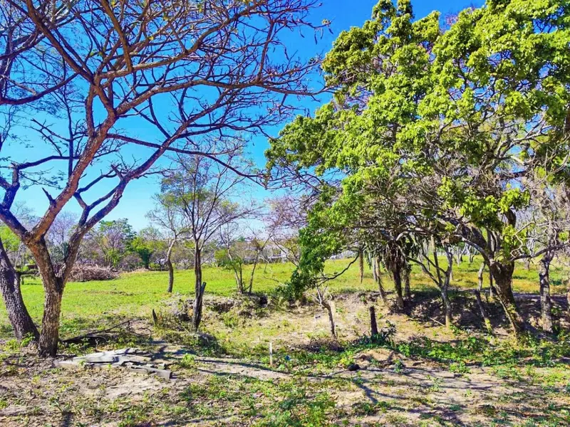 Terreno de 377,58 m² en venta en el Urubó, Arboleda Fase 1: foto 1 de 10