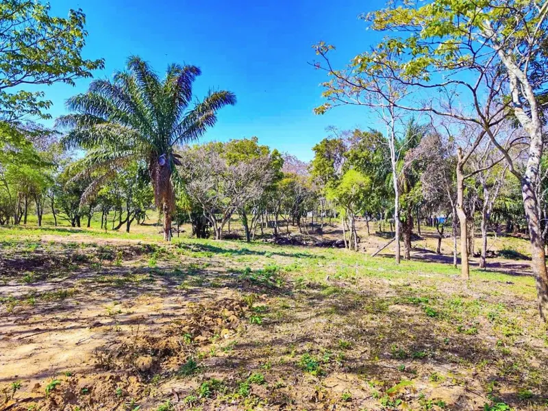 Terreno de 384,04 m² en venta en el Urubó, Arboleda Fase 1: foto 1 de 9