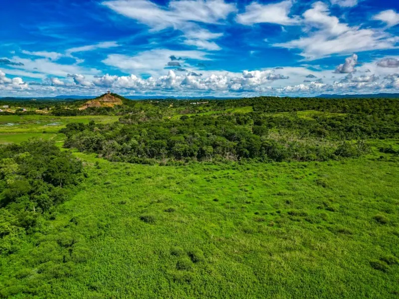 Propiedad ganadera de 81 ha en venta en San Ramón: foto 1 de 5