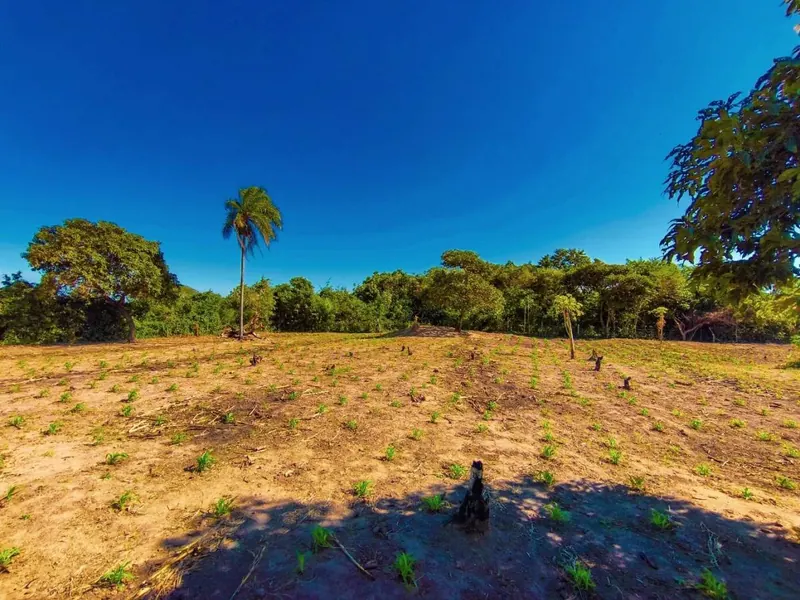 Terreno de 24.951 m² en venta en Montero, zona Muyurina: foto 8 de 8