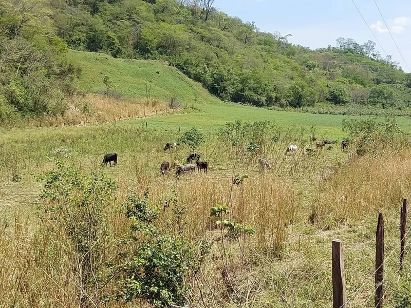 Propiedad ganadera de 51 ha en venta en El Torno: foto 2 de 6