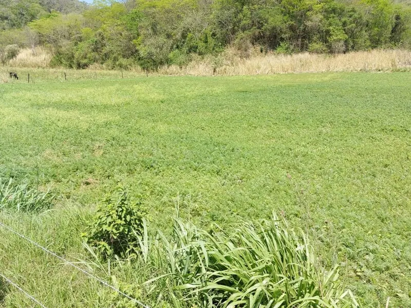Propiedad ganadera de 51 ha en venta en El Torno: foto 4 de 6