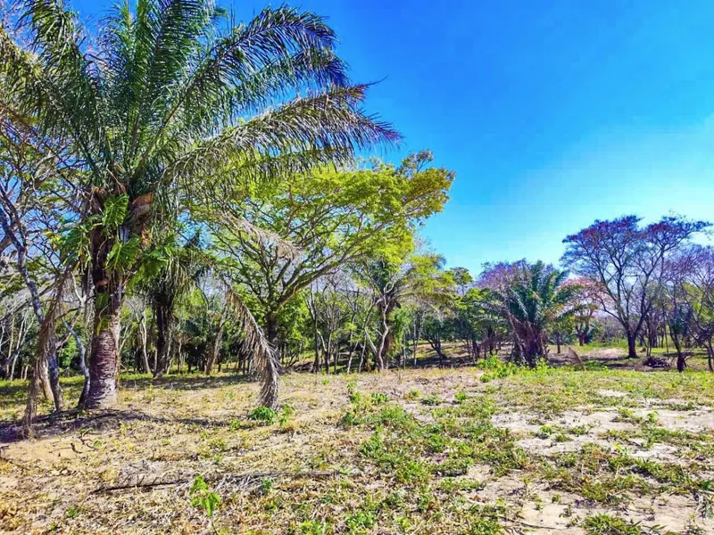Terreno de 433,44 m² en venta en el Urubó, urbanización Arboleda: foto 9 de 10