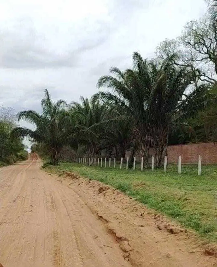 Terreno de 2,3 hectáreas en venta en el Urubó: foto 2 de 5