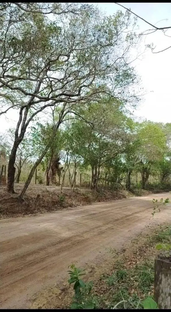 Terreno de 2,3 hectáreas en venta en el Urubó: foto 3 de 5