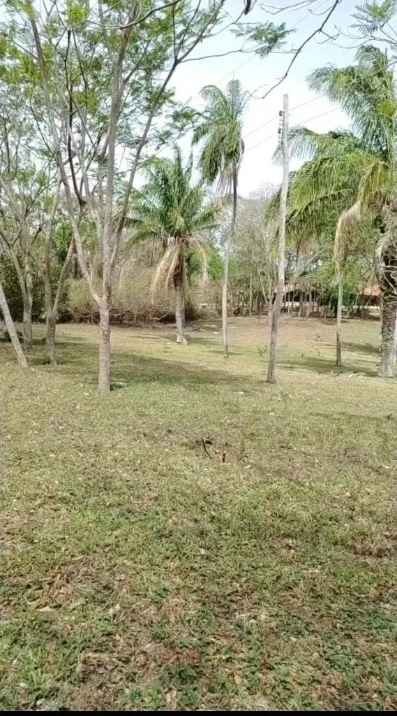 Terreno de 2,3 hectáreas en venta en el Urubó: foto 4 de 5