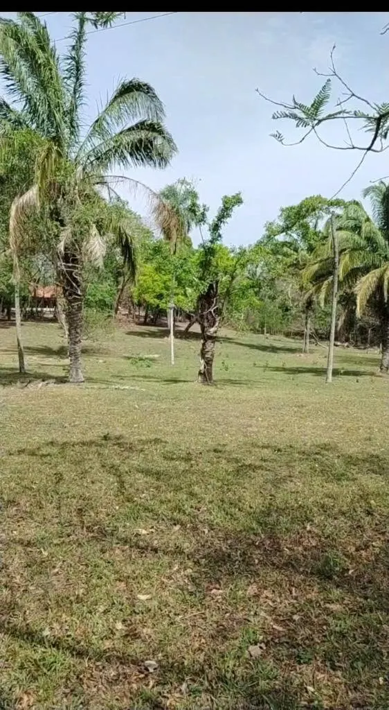 Terreno de 2,3 hectáreas en venta en el Urubó: foto 5 de 5