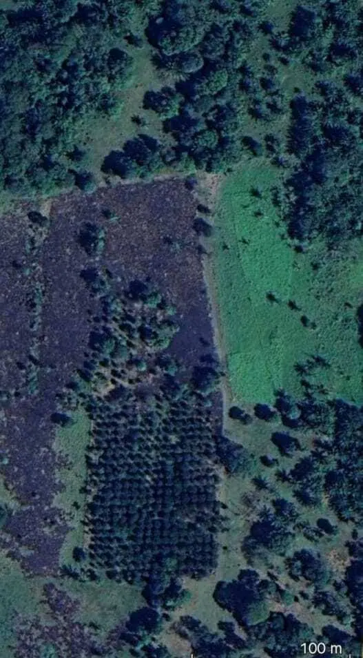 Propiedad rural de 4,3 hectáreas en venta en Mar Adentro, Urubó: foto 3 de 8