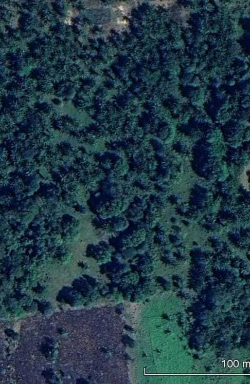 Propiedad rural de 4,3 hectáreas en venta en Mar Adentro, Urubó: foto 5 de 8