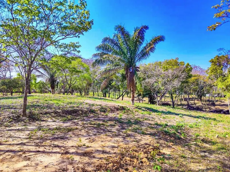 Terreno de 371,83 m² en venta en el Urubó, Urbanización Arboleda: foto 8 de 8