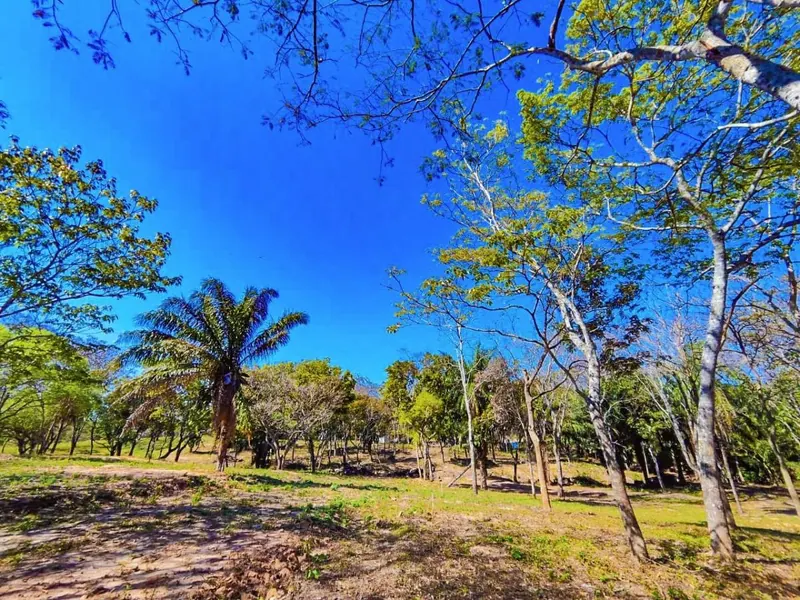 Terreno en venta en el Urubó, urbanización Arboleda: foto 1 de 8