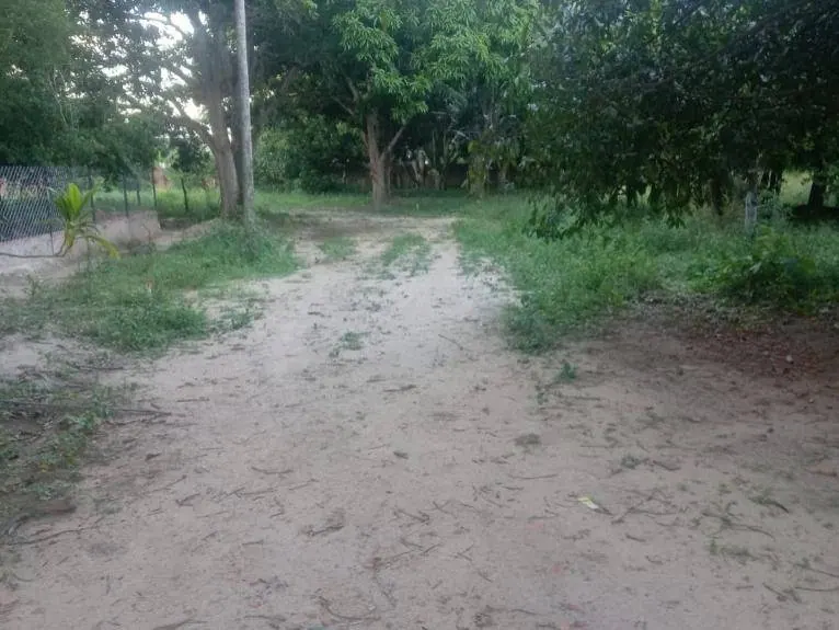 Terreno en venta en el Urubó, 650 m² en Colinas del Urubó: foto 7 de 9