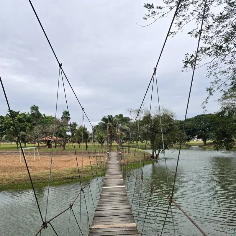 Terreno de 1.000 m² en venta en el complejo campestre Las Pampitas: foto 7 de 11