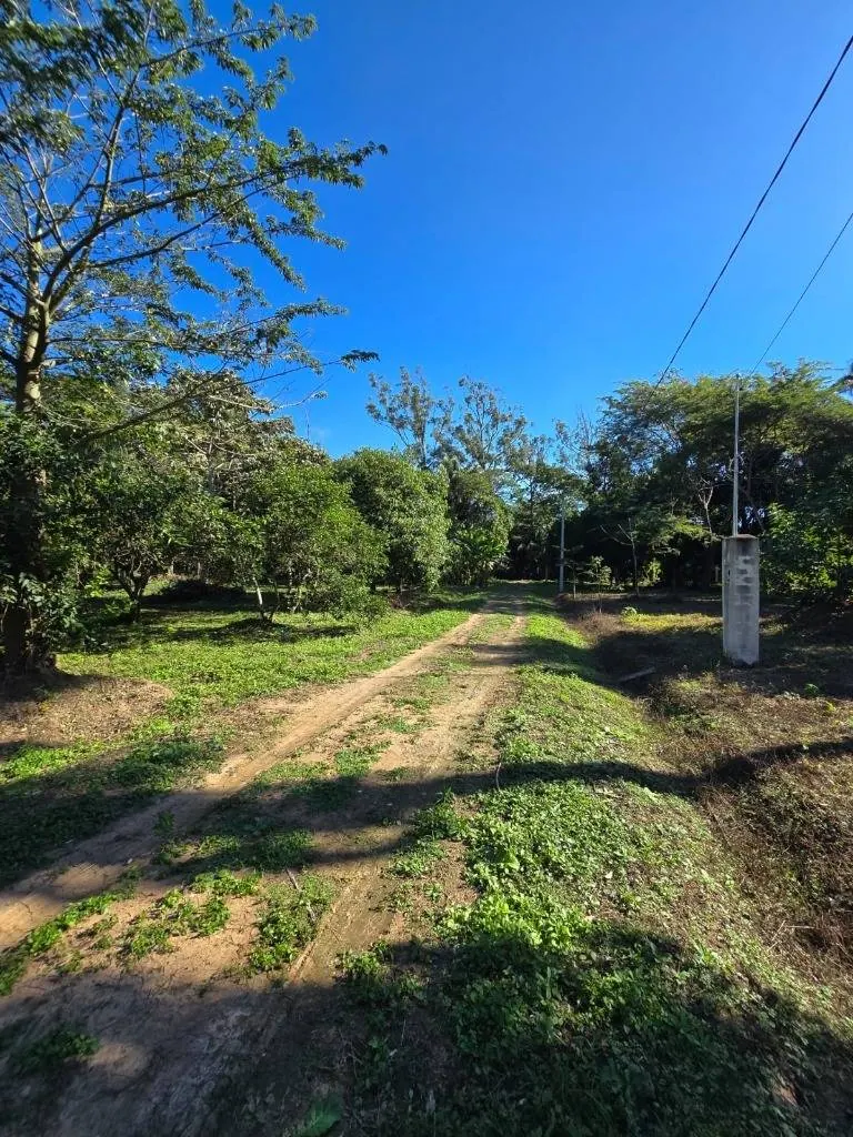 Terreno de 216 m² en venta en la Zona Norte, km 10: foto 5 de 8