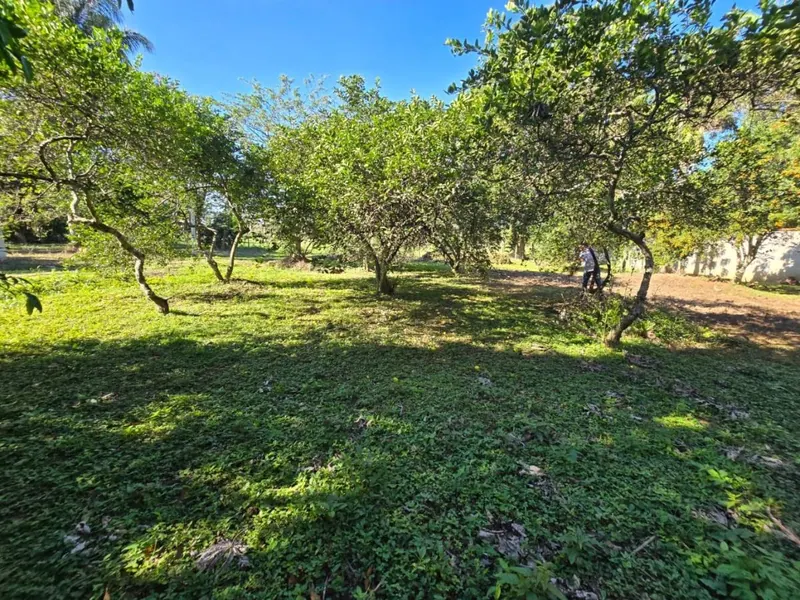 Terreno de 216 m² en venta en la Zona Norte, km 10: foto 8 de 8