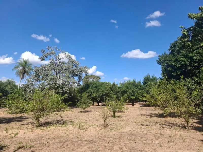 Country property for sale in the East Zone, 10,000 m² lot: foto 7 de 11