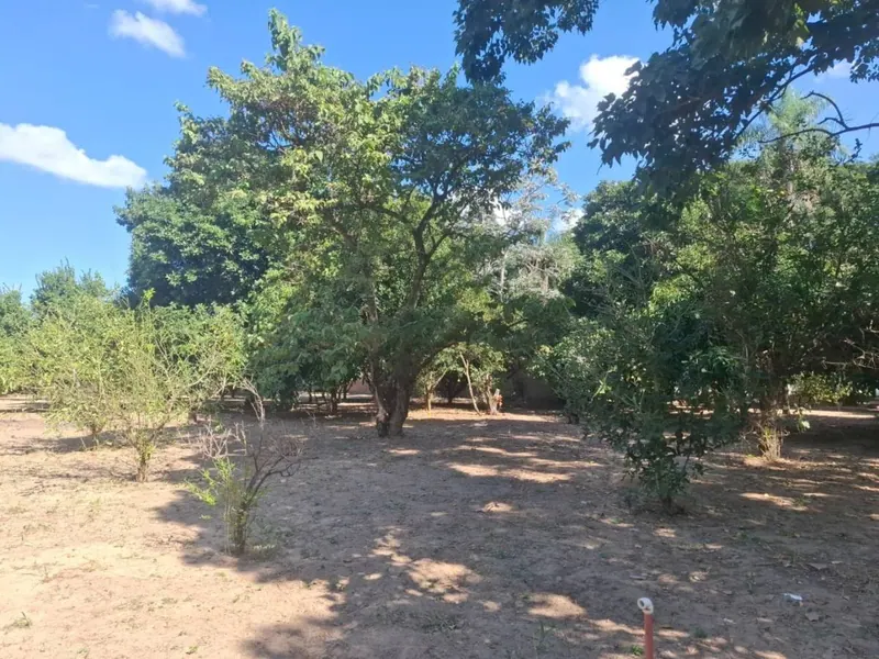 Country property for sale in the East Zone, 10,000 m² lot: foto 8 de 11