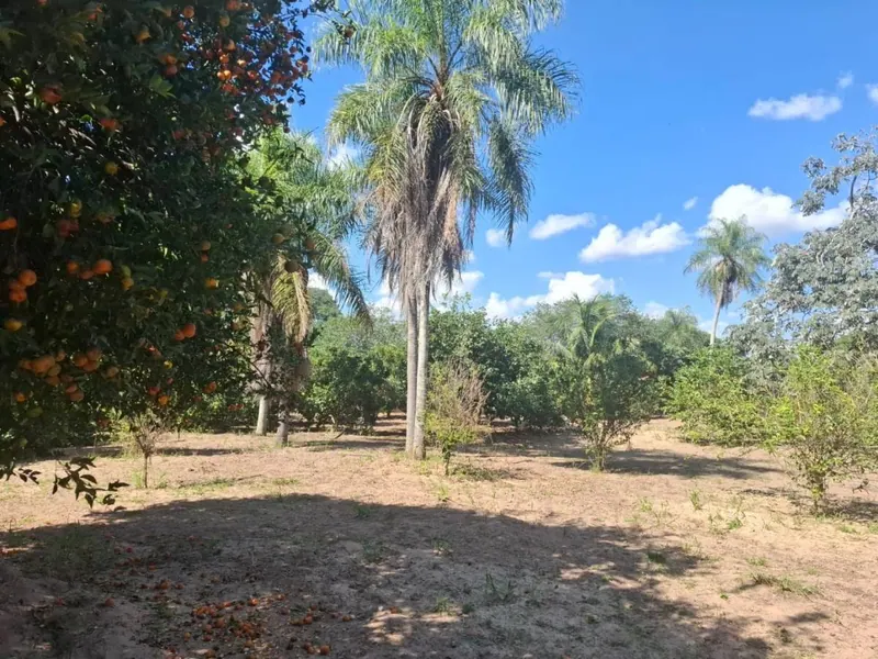 Country property for sale in the East Zone, 10,000 m² lot: foto 9 de 11