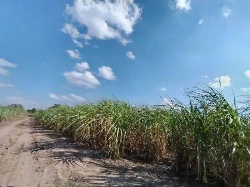 Propiedad agrícola de 63,5 ha en venta en Warnes: foto 1 de 6