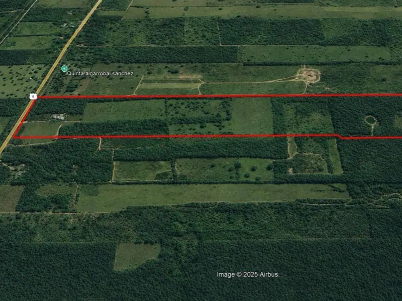 Cattle and farming property for sale in Loma Blanca, 30.4 ha: foto 2 de 6