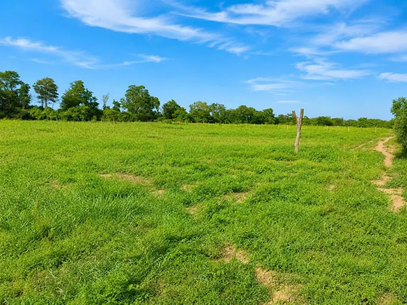 Cattle and farming property for sale in Loma Blanca, 30.4 ha: foto 3 de 6