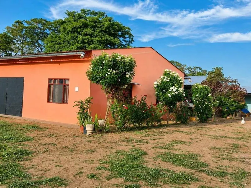 Cattle and farming property for sale in Loma Blanca, 30.4 ha: foto 4 de 6